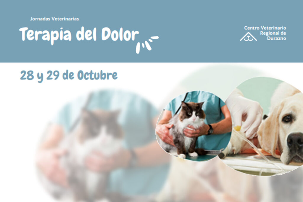Jornada sobre terapia y manejo del dolor en pequeños animales