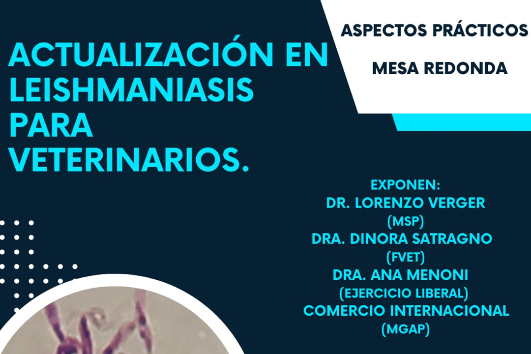 Actualización en Leishmaniasis para veterinarios: material disponible