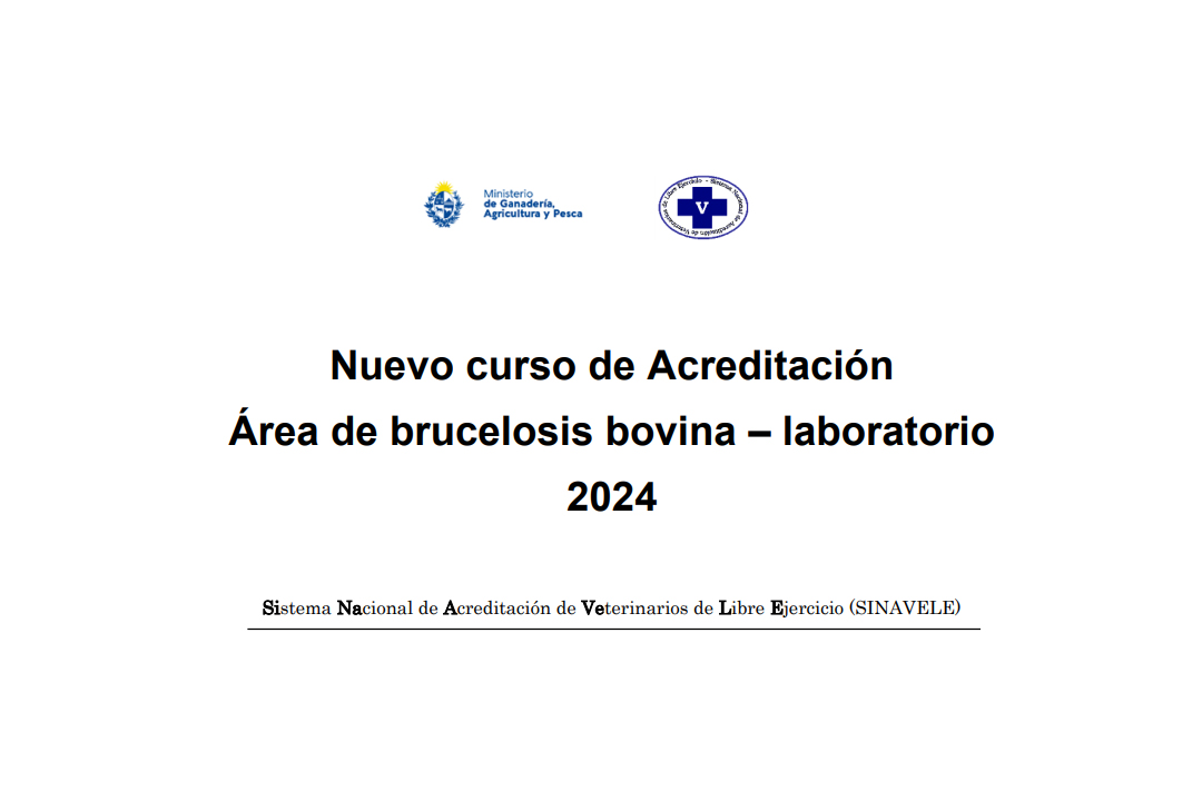 Nuevo curso de Acreditación Área de brucelosis bovina – laboratorio 2024