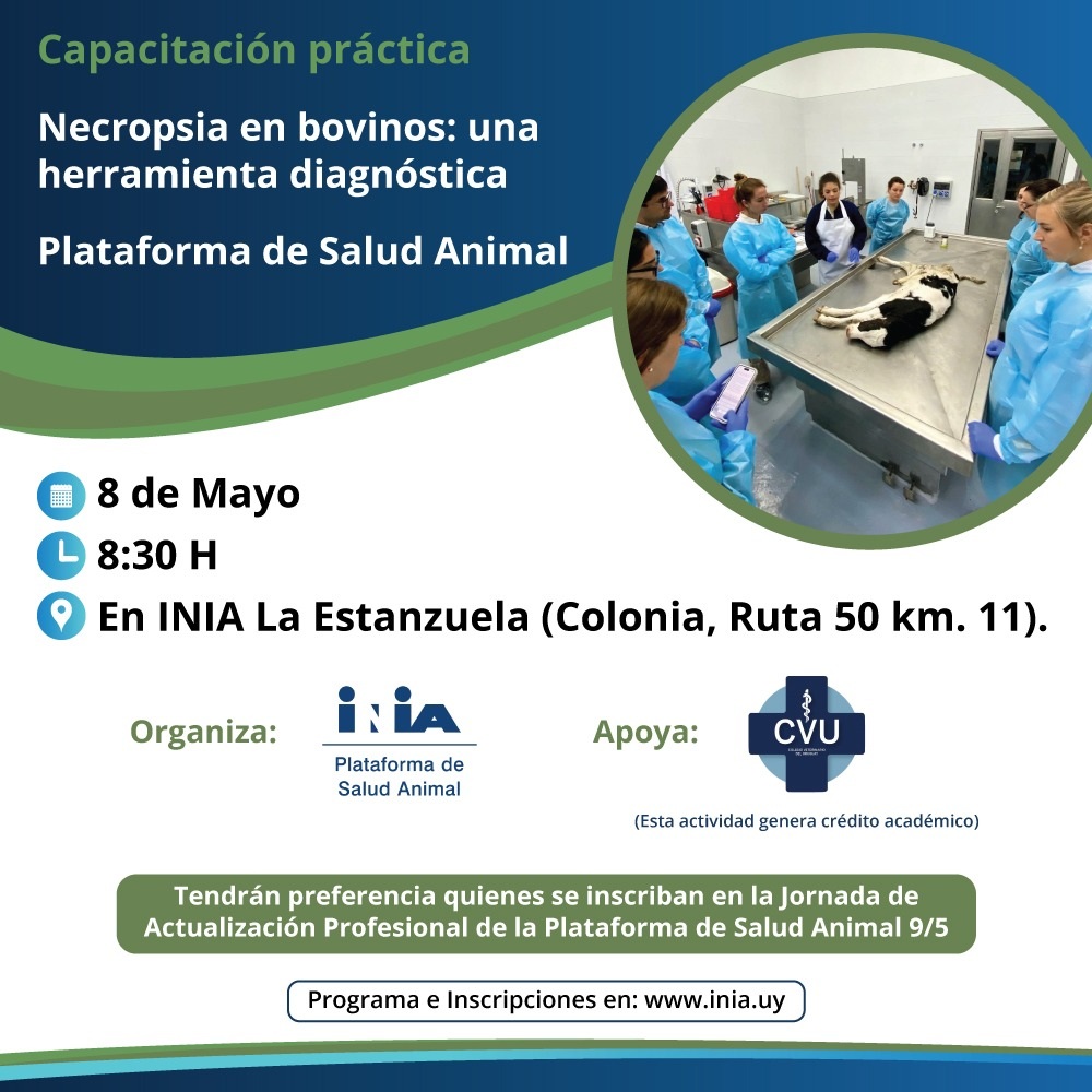 Capacitación práctica: necropsia en bovinos: una herramienta diagnóstica