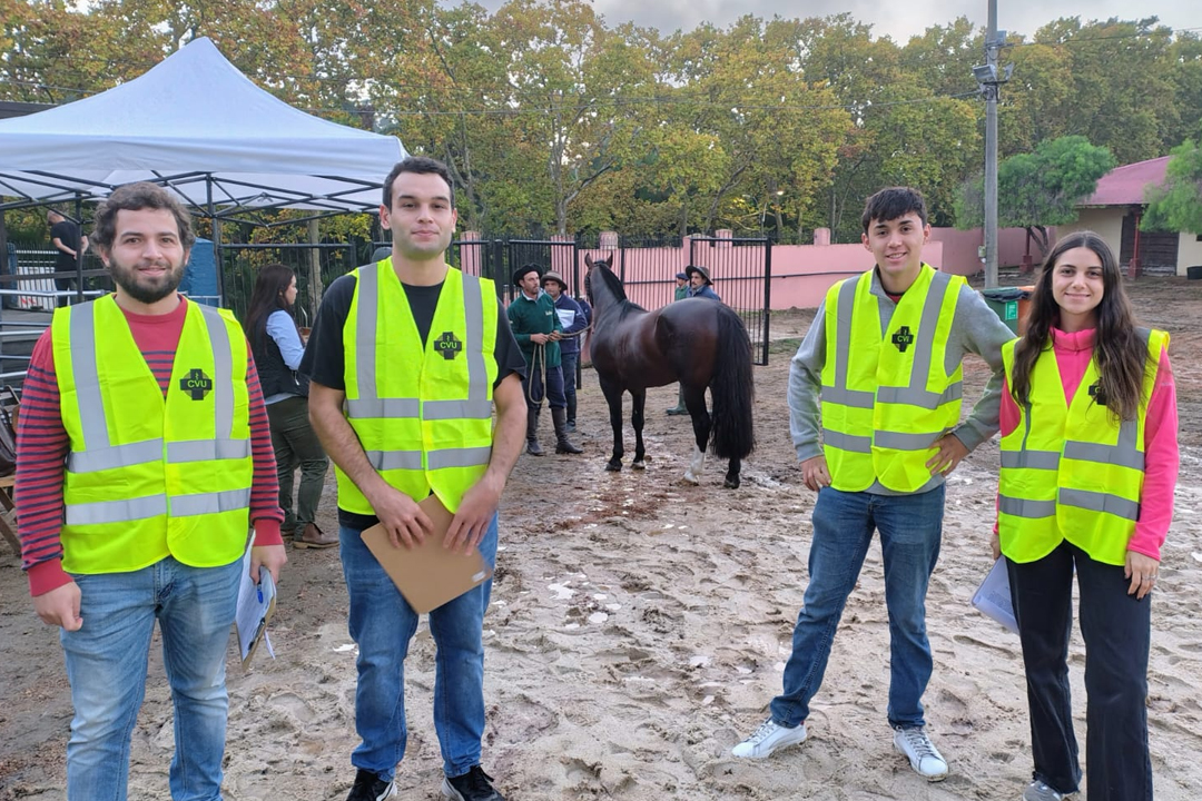 Ejerciendo nuestras competencias en la Expo Otoño 2025 de caballos criollos