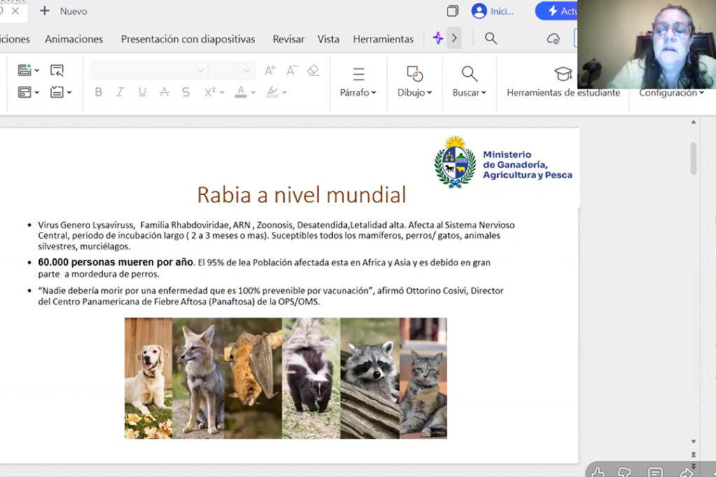 Vuelve a ver la Jornada sobre Rabia del 25 de marzo