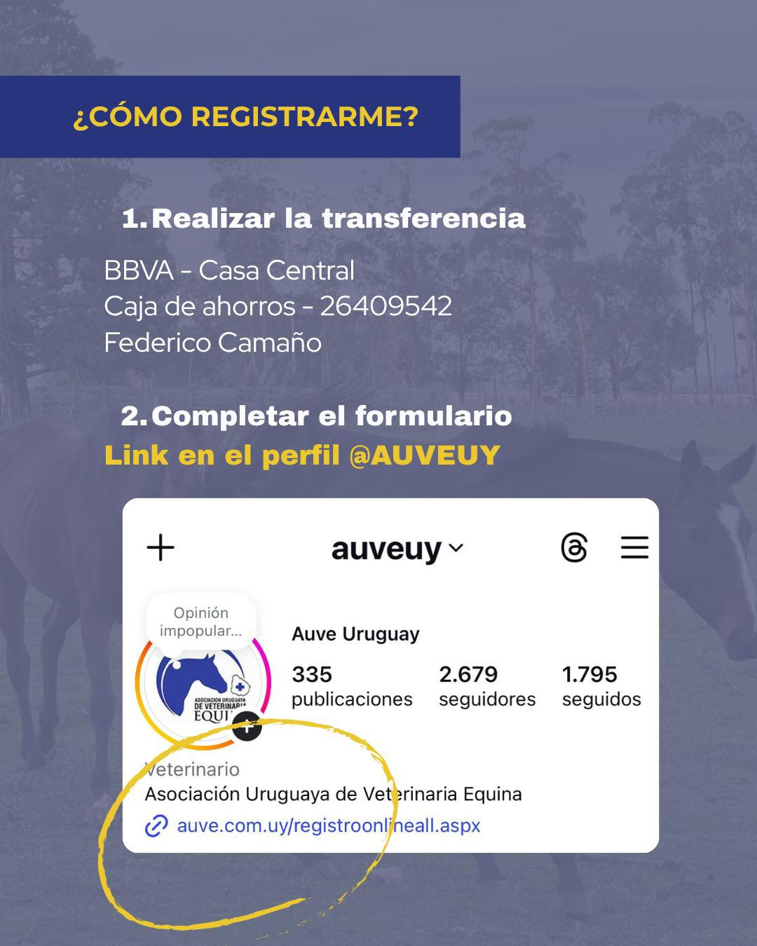 Se vienen las Jornadas Técnicas Equinas – AUVE 2026