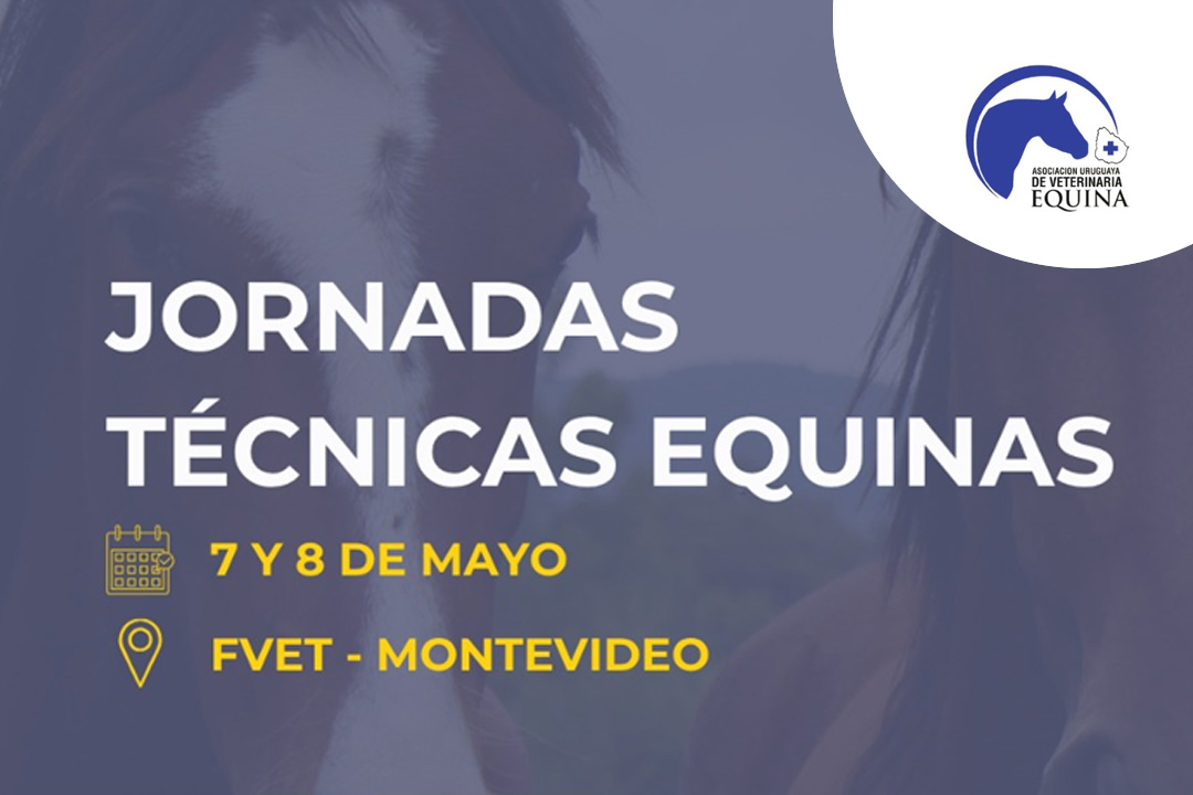 Se vienen las Jornadas Técnicas Equinas – AUVE 2026