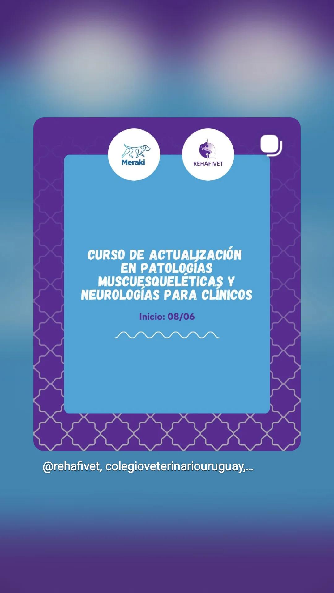 Curso de actualización en patologías musculoesqueléticas y neurologías para clínicos.