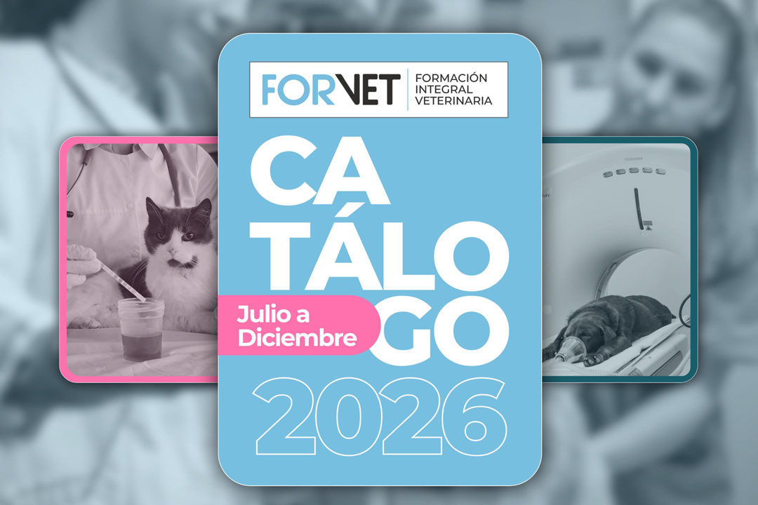 Conocé las nuevas propuestas de FORVET en eventos y nuevas becas desde julio a diciembre de 2026