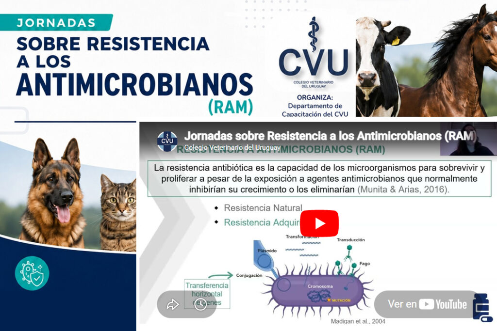 Reviví las Jornadas sobre resistencia a los antimicrobianos