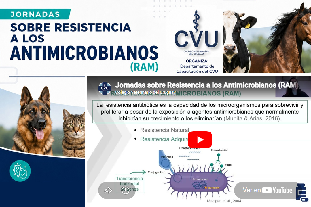 Reviví las Jornadas sobre resistencia a los antimicrobianos