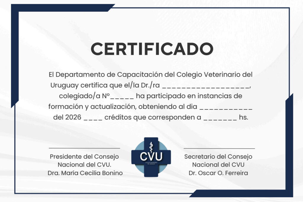 Solicite su certificado de reconocimiento de créditos