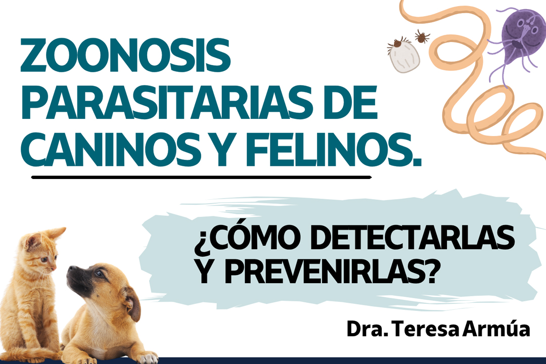 Charla: "Zoonosis parasitarias de caninos y felinos"