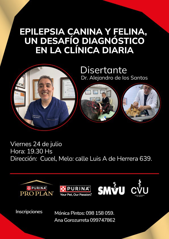 epilepsia-canina-y-felina-un-desafio-diagnostico-en-la-clinica-diaria-jornada-en-melo