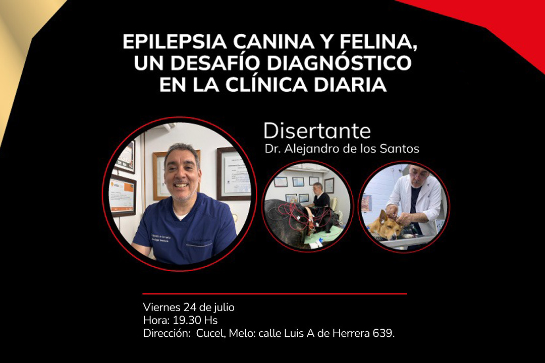 "Epilepsia canina y felina, un desafío diagnóstico en la clínica diaria", jornada en Melo