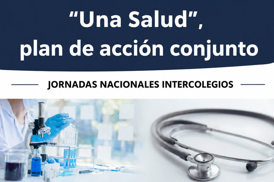 Preparando las Jornadas Intercolegios de Salud Pública