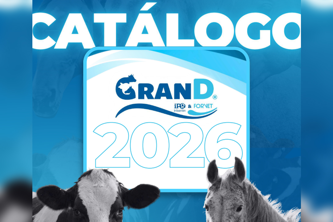 Presentamos el catálogo de capacitaciones de GRAND de FORVET