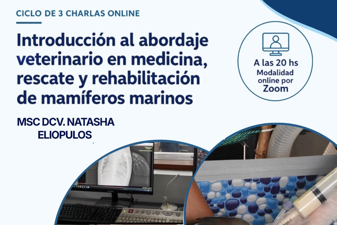 Ciclo de charlas: Int. al abordaje veterinario en medicina, rescate y rehabilitación de mamíferos marinos