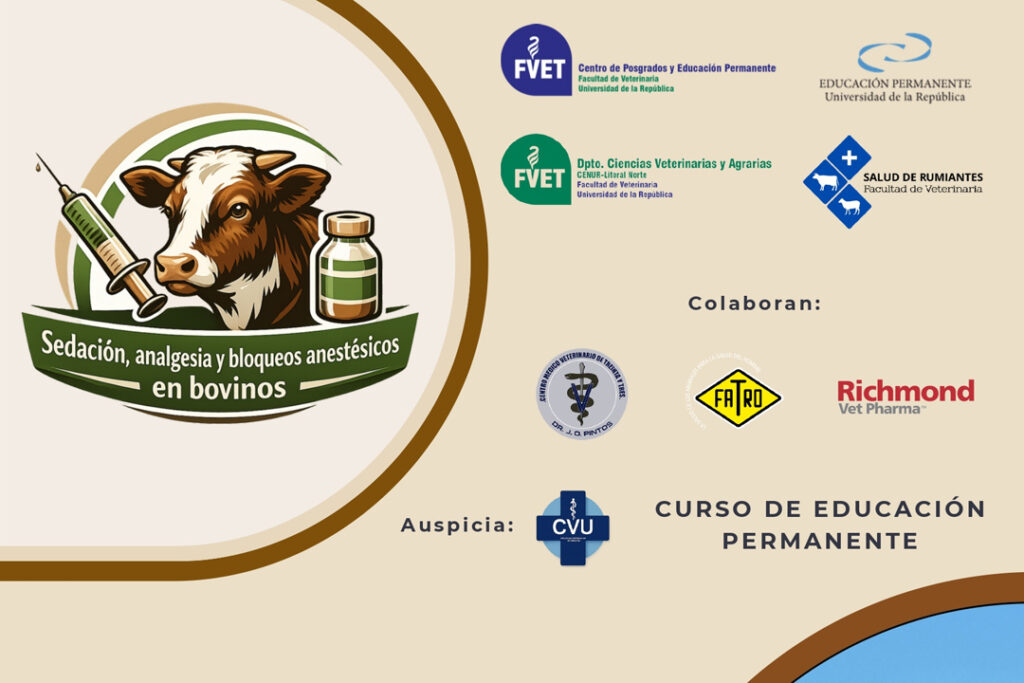 Curso de sedación, analgesia y bloqueos anestésicos en bovinos
