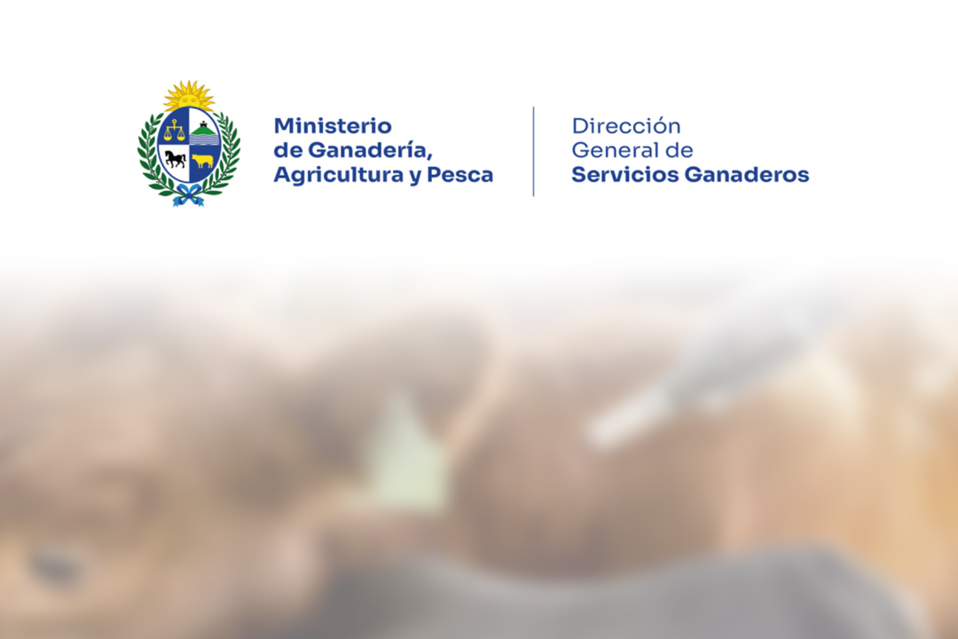 Taller de Fiebre Aftosa de la Dirección General de Servicios Ganaderos (DGSG)
