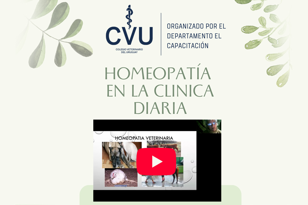 Grabación disponible: Homeopatía en la clínica diaria