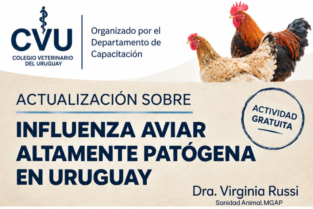 Actualización sobre Influenza Aviar Altamente Patógena en Uruguay