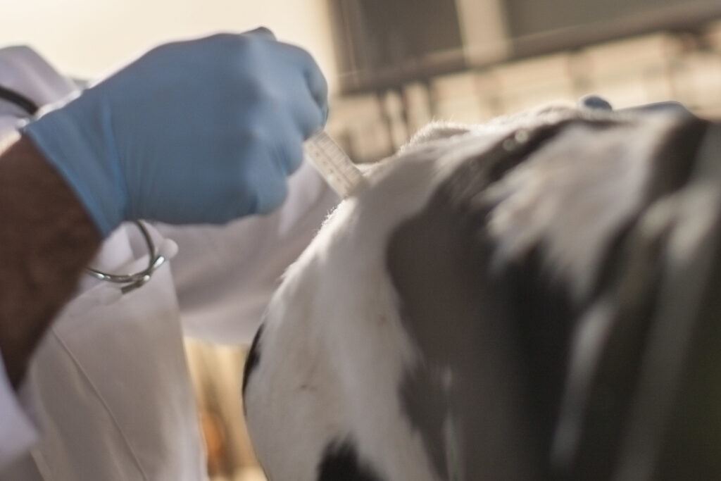 Ejecutivo envió al Parlamento el Código de Ética Veterinaria y eliminó una restricción a publicaciones